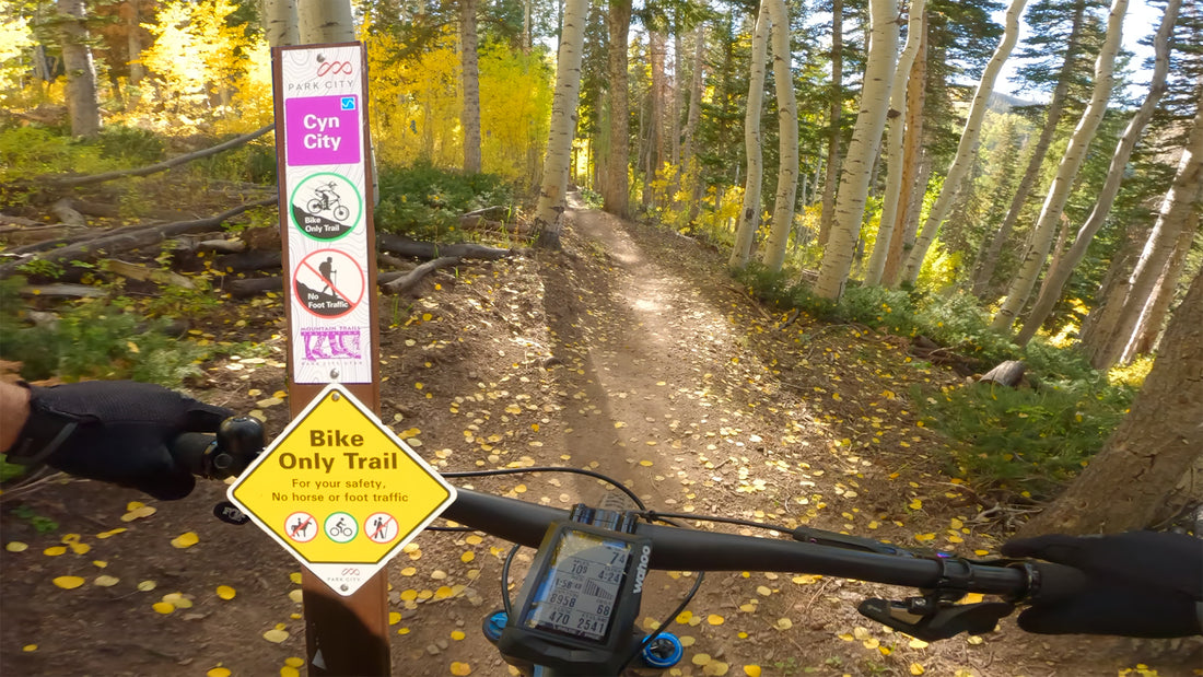 Exploring Cyn City Trail - One Of Park City Utah's Newest DH Flow Trail Gems. What a BLAST!